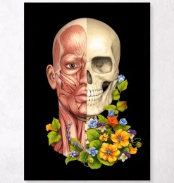 Muscles du visage - Floral - Noir
