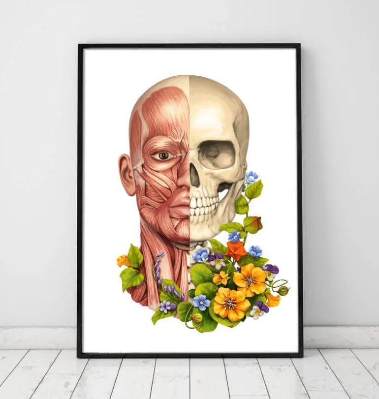 Muscles du visage - Floral - Blanc