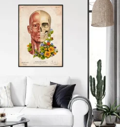 Muscles du visage - Floral - Vieux Papier