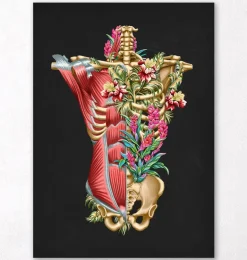 Muscles et os du torse - Floral - Noir
