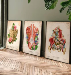 Muscles iliaque et psoas - Floral - Vintage