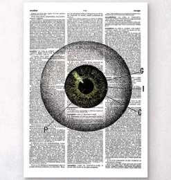 Oeil - Page Dictionnaire