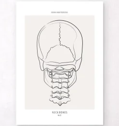 Os du cou - Line Art
