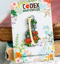 Os pelvien avec fleurs - Pins