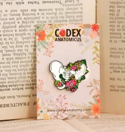 Os pelvien avec fleurs - Pins