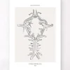 Polygone de Willis - Line Art