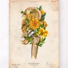 Prothèse totale de hanche - Floral - Vintage