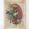 Rein avec des fleurs - Ancien dictionnaire