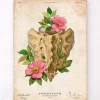 Sacrum et coccyx - Floral - Vintage