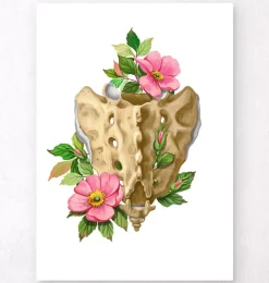 Sacrum et coccyx - Floral - Blanc