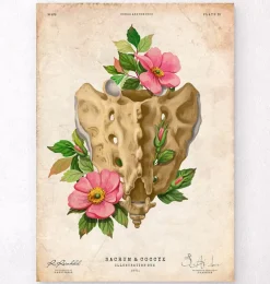 Sacrum et coccyx - Floral - Vintage