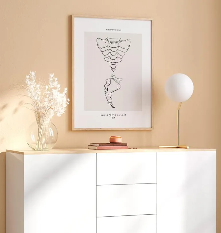 Sacrum et coccyx - Line Art