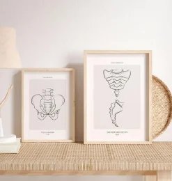 Sacrum et coccyx - Line Art