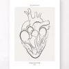Section du cœur - Line Art