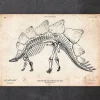 Squelette de dinosaure - Stegosaurus