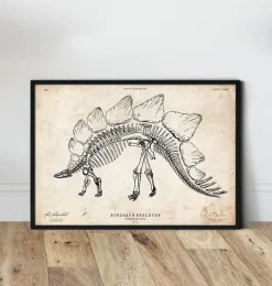 Squelette de dinosaure - Stegosaurus