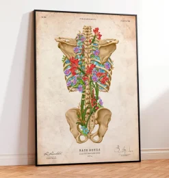 Squelette du dos - Floral - Vintage