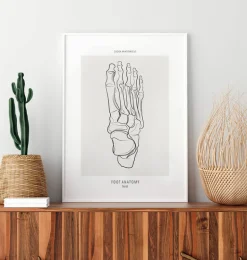 Squelette du pied - Line Art