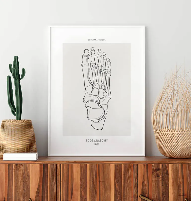 Squelette du pied - Line Art