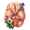 Sticker anatomie cérébrale - Floral