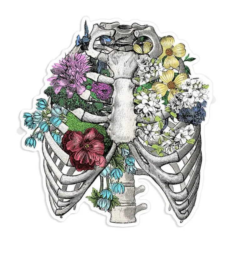 Sticker d'anatomie cage thoracique III - Floral