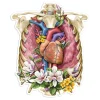 Sticker d'anatomie cage thoracique - Floral
