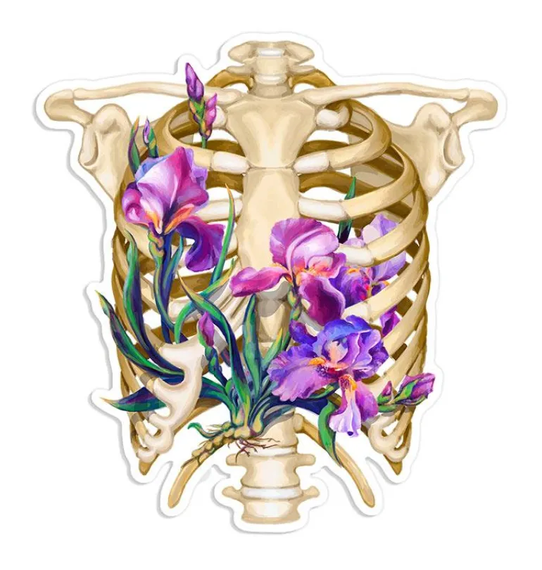 Sticker d'anatomie cage thoracique - Floral