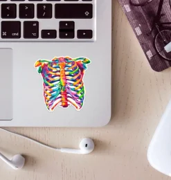 Sticker d'anatomie cage thoracique - Aquarelle