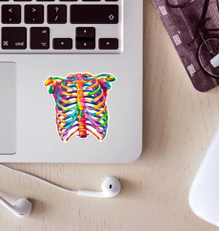 Sticker d'anatomie cage thoracique - Aquarelle