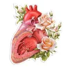 Sticker d'anatomie cardiaque - Floral