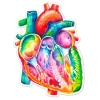 Sticker d'anatomie cardiaque - Aquarelle
