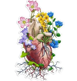 Sticker d'anatomie cardiaque III - Floral