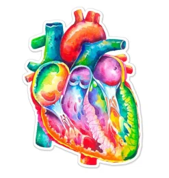 Sticker d'anatomie cardiaque - Aquarelle