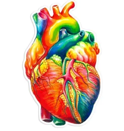 Sticker d'anatomie cardiaque II - Aquarelle