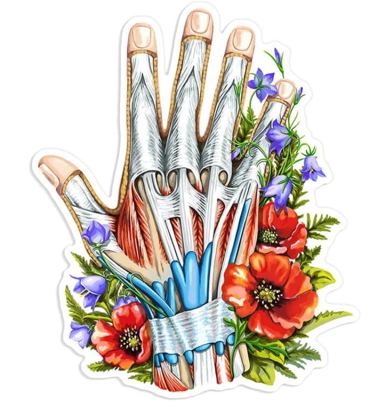 Sticker d'anatomie cardiaque - Floral
