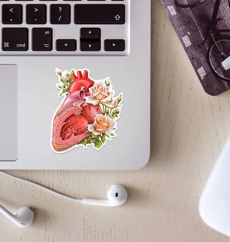 Sticker d'anatomie cardiaque - Floral