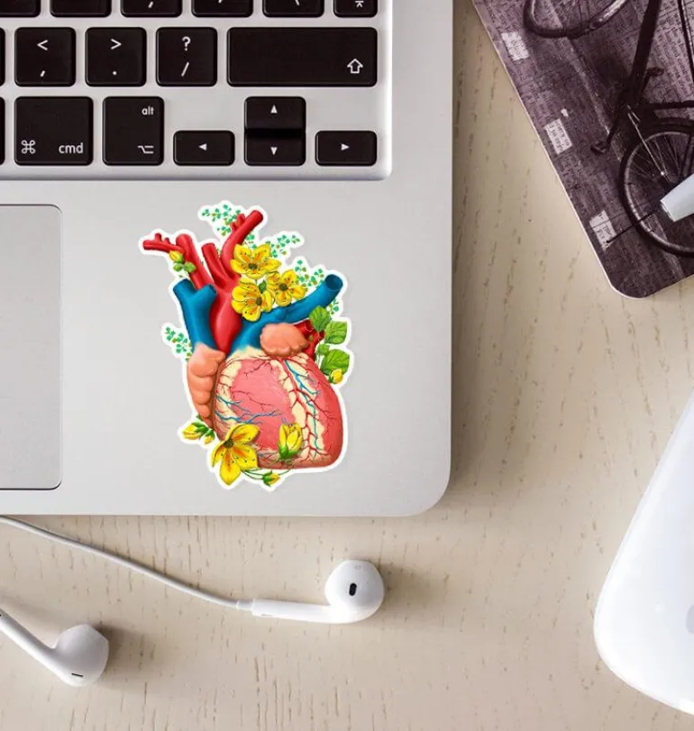 Sticker d'anatomie cardiaque II - Floral