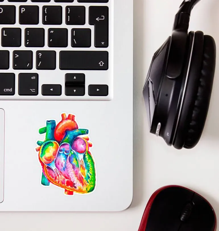 Sticker d'anatomie cardiaque - Aquarelle