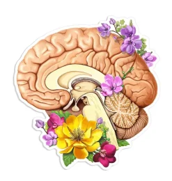Sticker d'anatomie côté cerveau - Floral