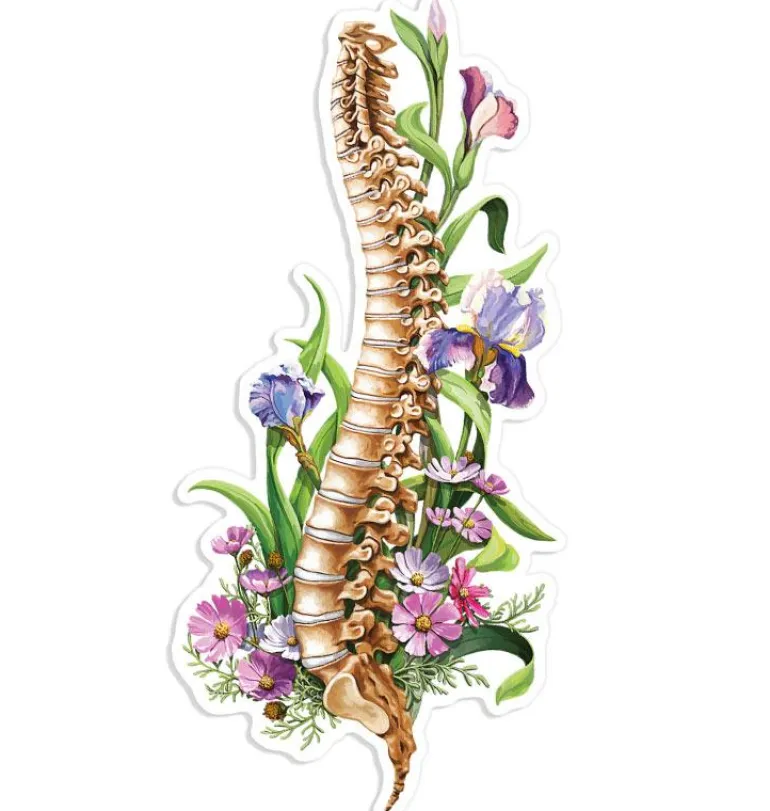 Sticker d'anatomie de la colonne vertébrale - Floral