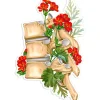 Sticker d'anatomie de la colonne vertébrale II - Floral