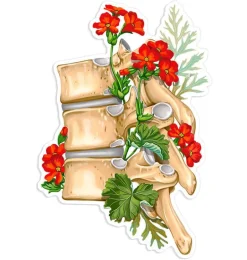 Sticker d'anatomie de la colonne vertébrale II - Floral