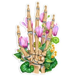 Sticker d'anatomie de la colonne vertébrale - Floral
