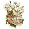 Sticker d'anatomie de la mâchoire - Floral