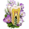 Sticker d'anatomie de la mâchoire - Floral