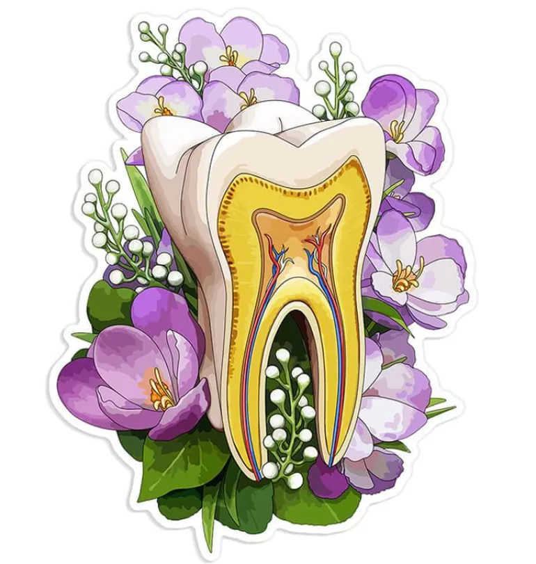 Sticker d'anatomie de la mâchoire - Floral