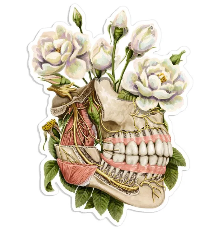 Sticker d'anatomie de la mâchoire - Floral
