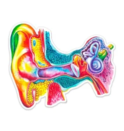 Sticker d'anatomie de l'oreille - Aquarelle