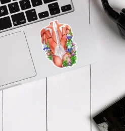Sticker d'anatomie des muscles du dos - Floral