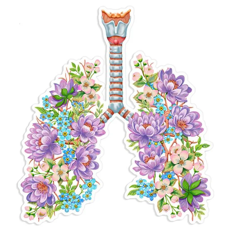 Sticker d'anatomie des poumons - Floral